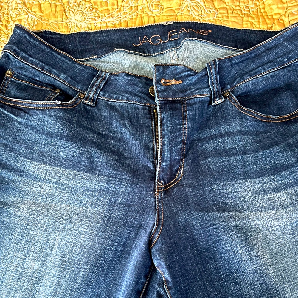 Gently used plus size mid rise straight leg JAG jeans in size 18